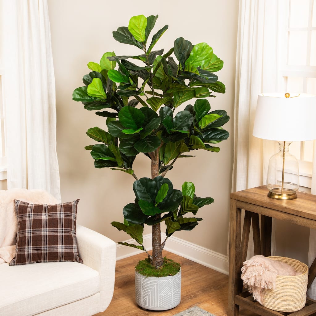 Potted Two Tone Green Artificial Wide Fiddle Leaf Fig Tree - 6.25'