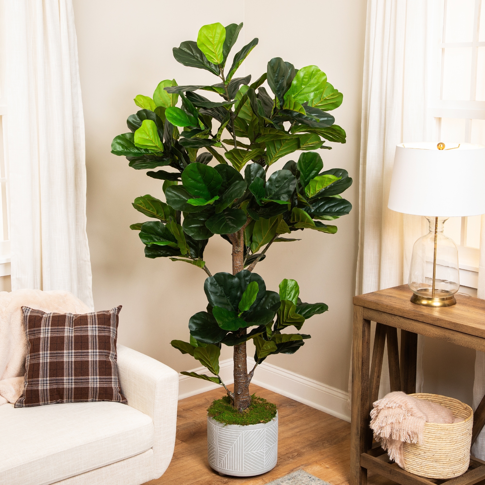 Potted Two Tone Green Artificial Wide Fiddle Leaf Fig Tree - 6.25'