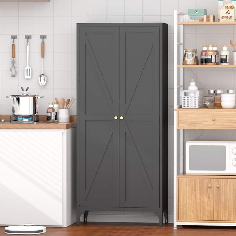 2 Doors Metal Storage Cabinet Kitchen Pantry Cabinet With Adjustable Shelves Tall Steel Cabinet Locker