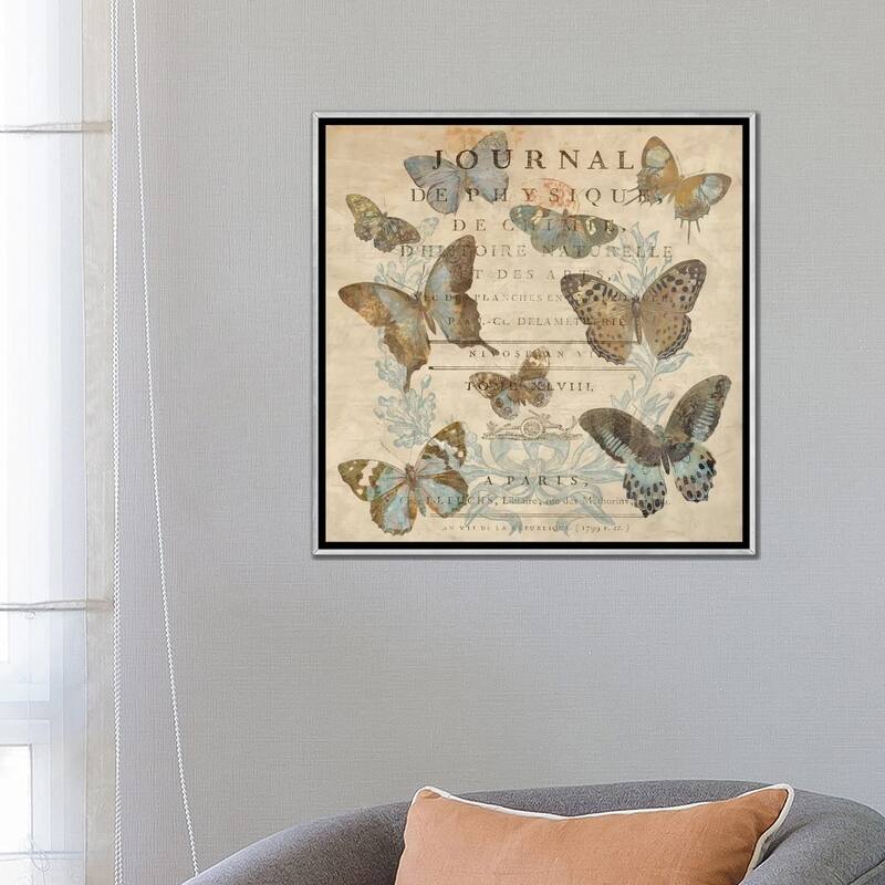 iCanvas "Papillon I" by Deborah Devellier Framed