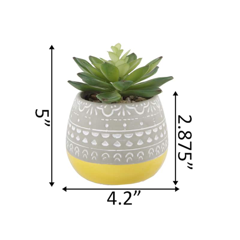 Succulent In 2 Tone Mayan Ceramic Pot,Yellow