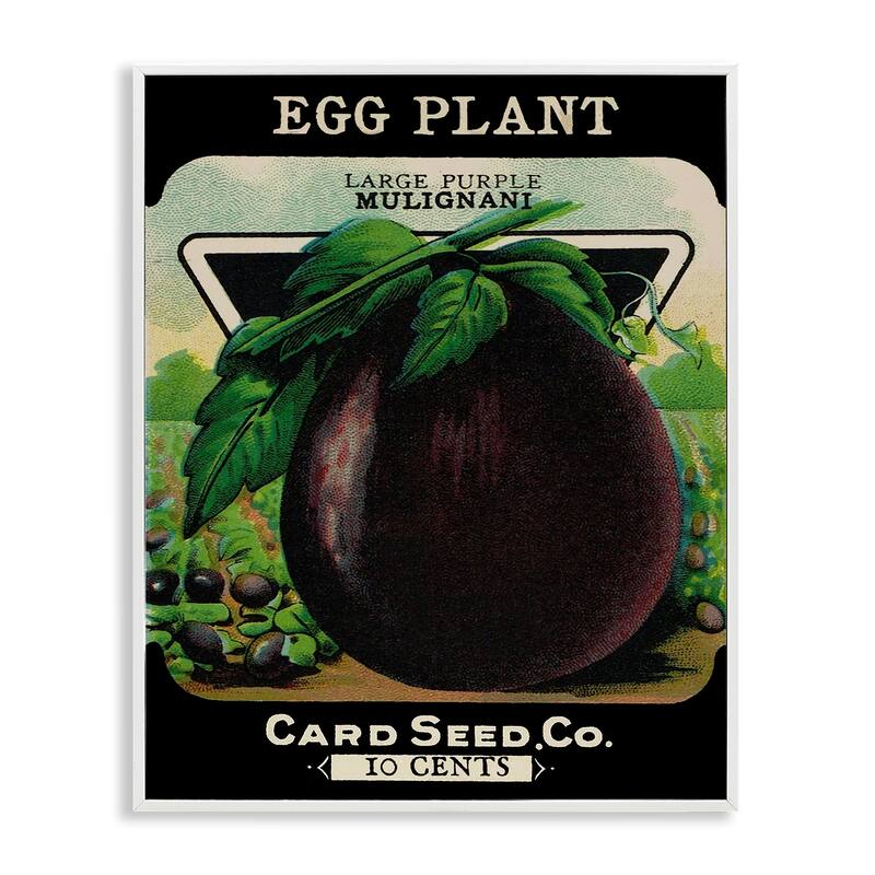 Stupell Vintage Garden Eggplant Framed Giclee Art Design By Lil' Rue - 11 x 14 - White