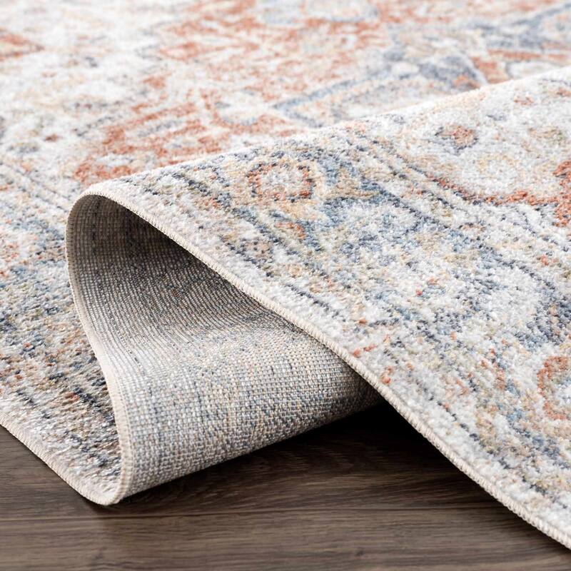Akram Machine Washable Oriental Persian Area Rug