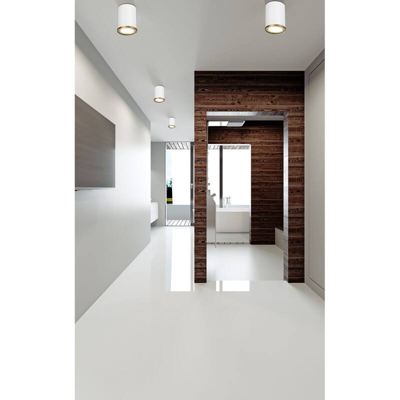 Z-Lite 2303F1 Arlo 5" Wide Flush Mount Ceiling Fixture