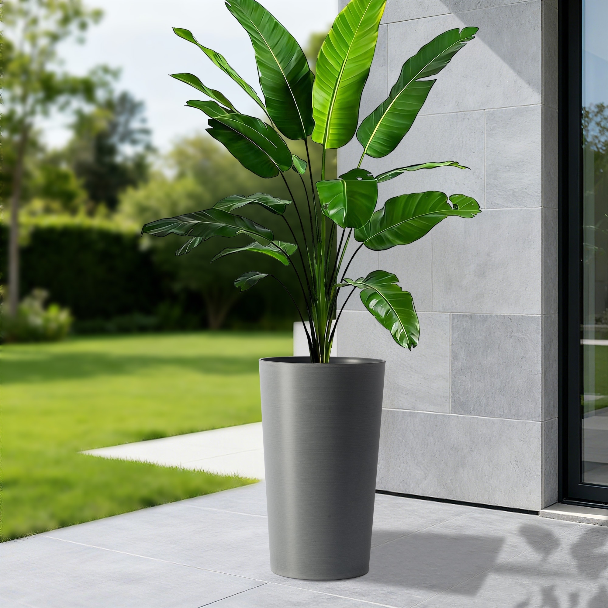 care for asiatic lilies after bloom Asiatic Lily Collection main image 1