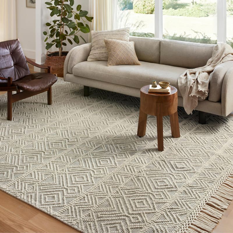 Alexander Home Joanna Farmhouse Hand Woven Area Rug - 2'-3" x 3'-9"