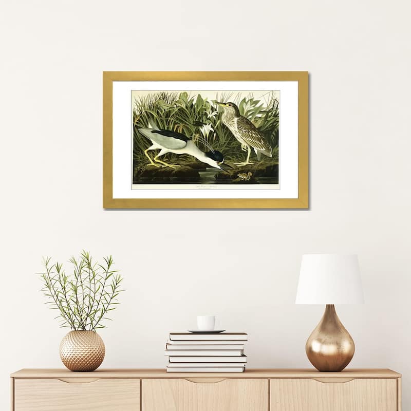 iCanvas "Night Heron or Lua Bird, 1835 " by John James Audubon