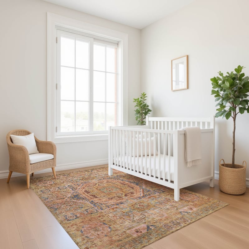 Premium Washable Super Soft Vintage Traditional Mayfield Rug