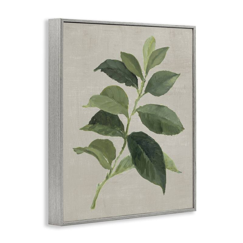 Stupell Arabica Coffee Plant Leaf Framed Giclee Art Design By Lanie Loreth