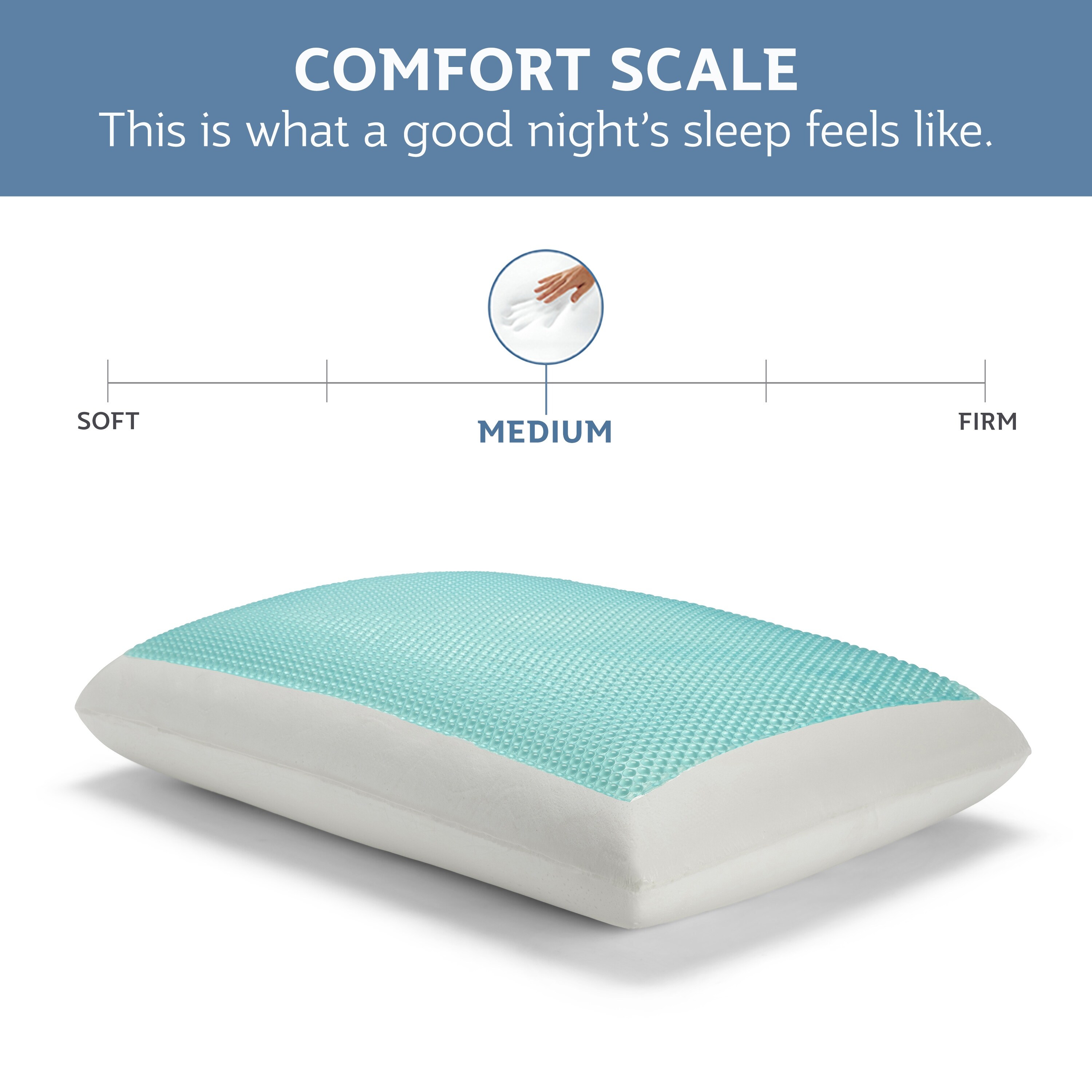 Sealy Memory Foam & Hydraluxe Gel Bed Pillow