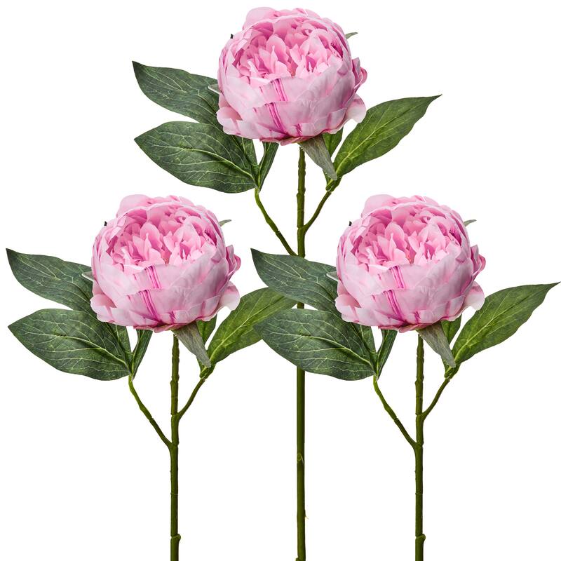 21" Lovely Peony Stem Set of 3