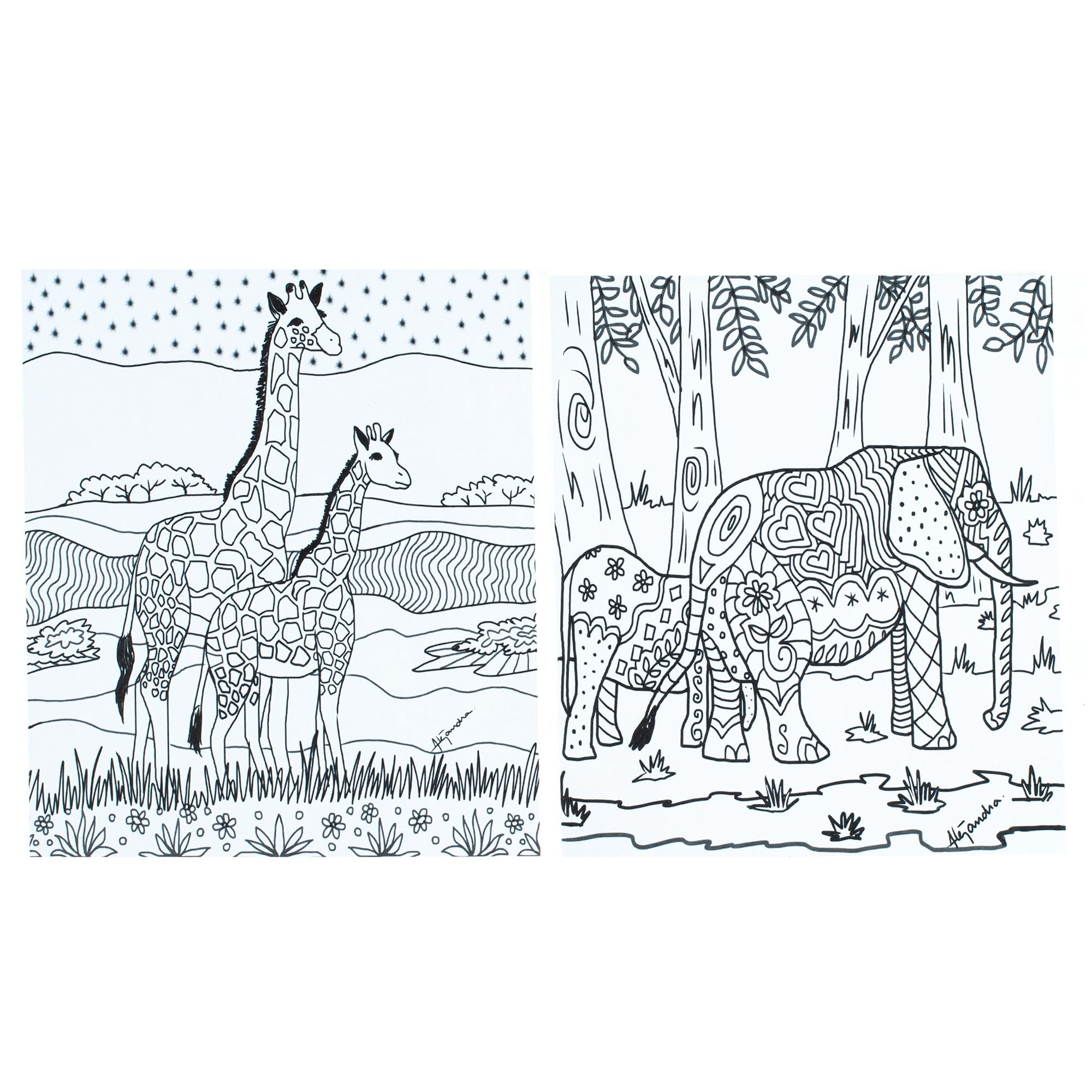 Novica Handmade Relaxing Wildlife Coloring Postcards (Pair)
