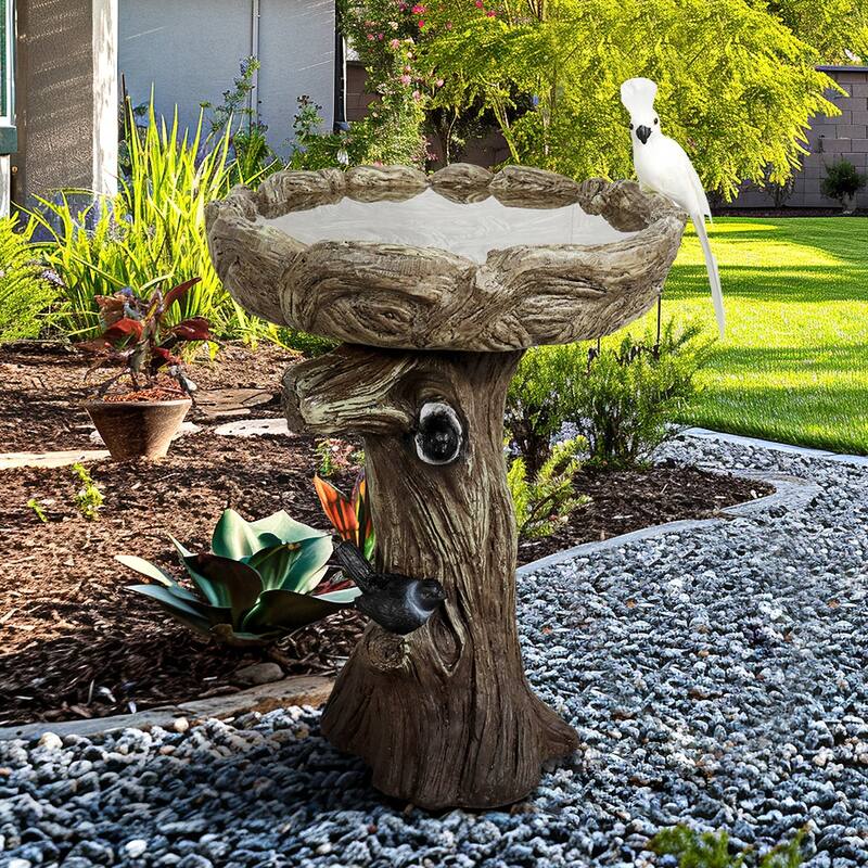 23" H Outdoor Concrete Bird Bath - Perfect for Adding Interest to Garden, Patio, Backyard, Porch and Deck