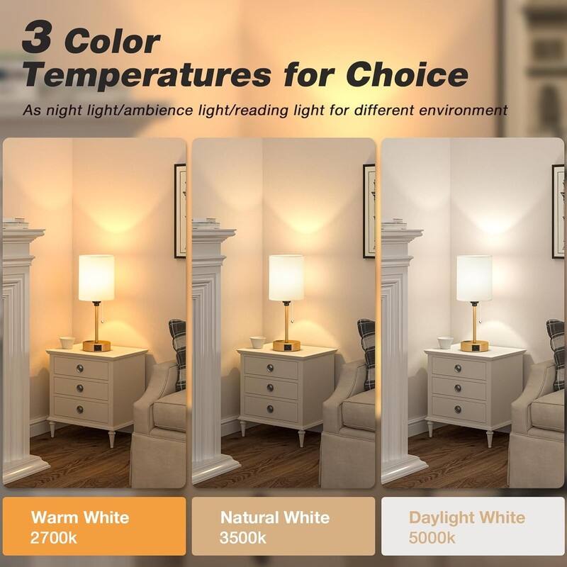 Small Bedside Table lamp for Bedroom - 3 Color Temperatures