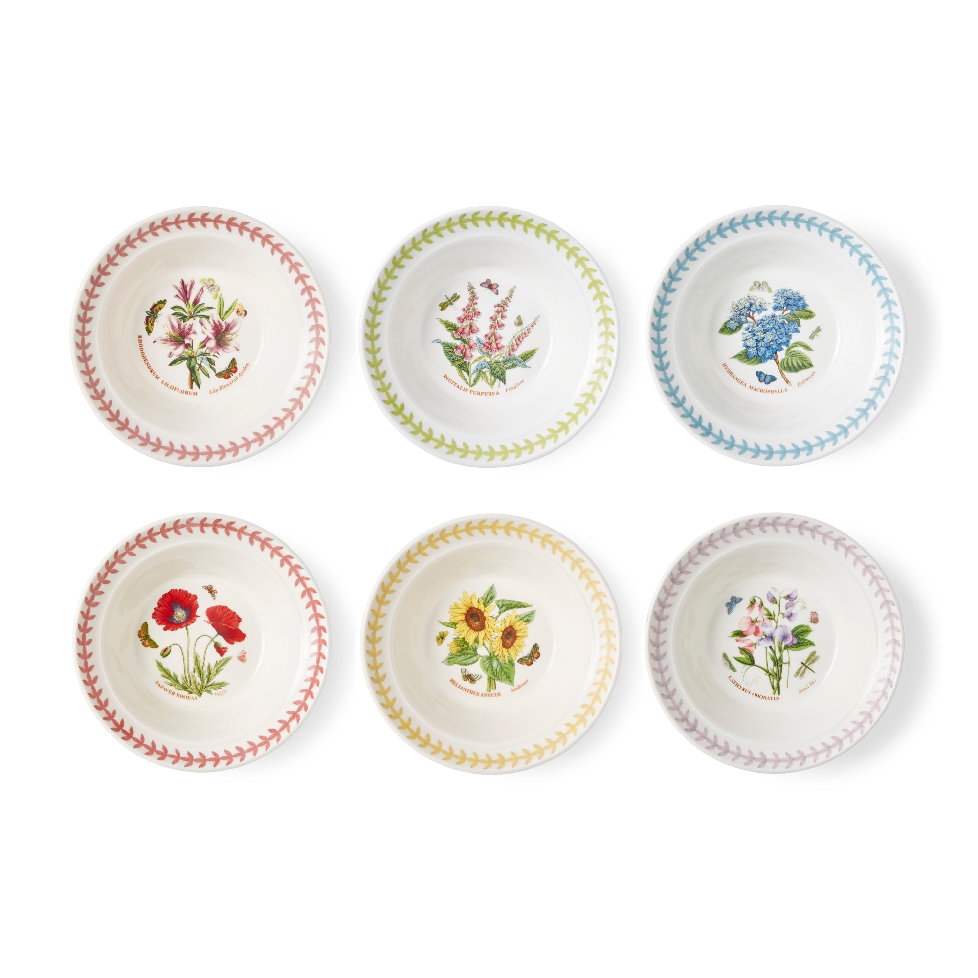 Portmeirion Botanic Garden Set of 6 Meadow Oatmeal Bowls - 6.5 in