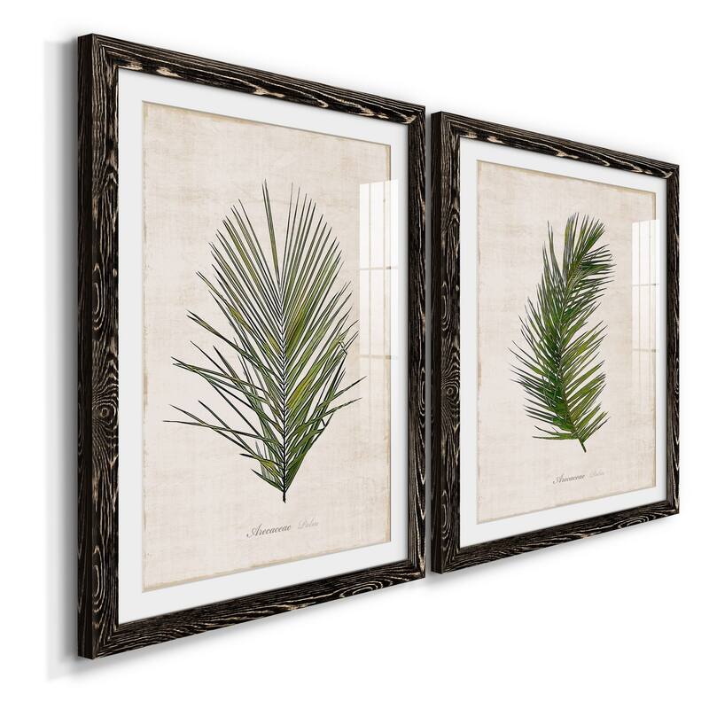 Palm Botanical I-Premium Framed Print - Ready to Hang