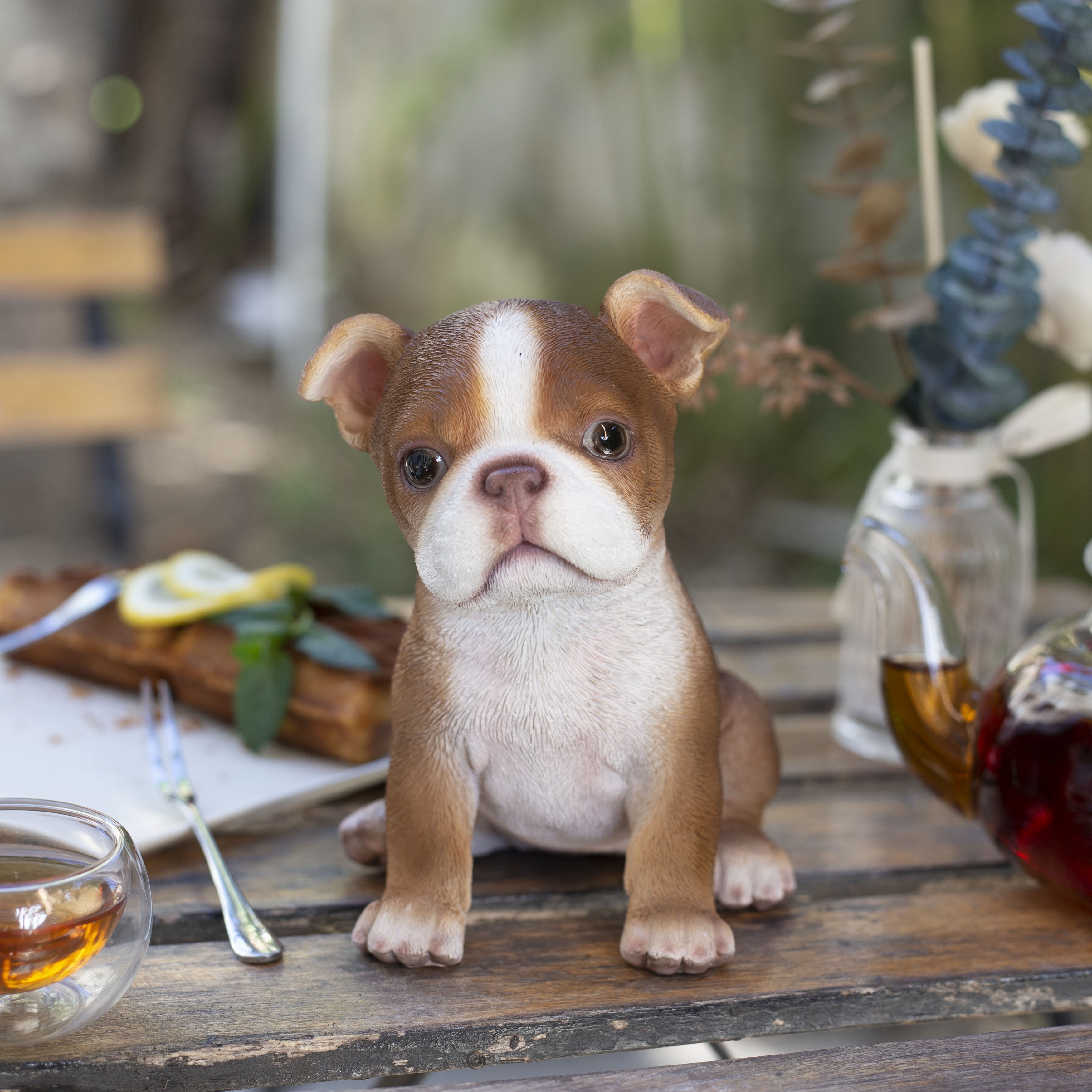 SoReal Brown Boston Terrier