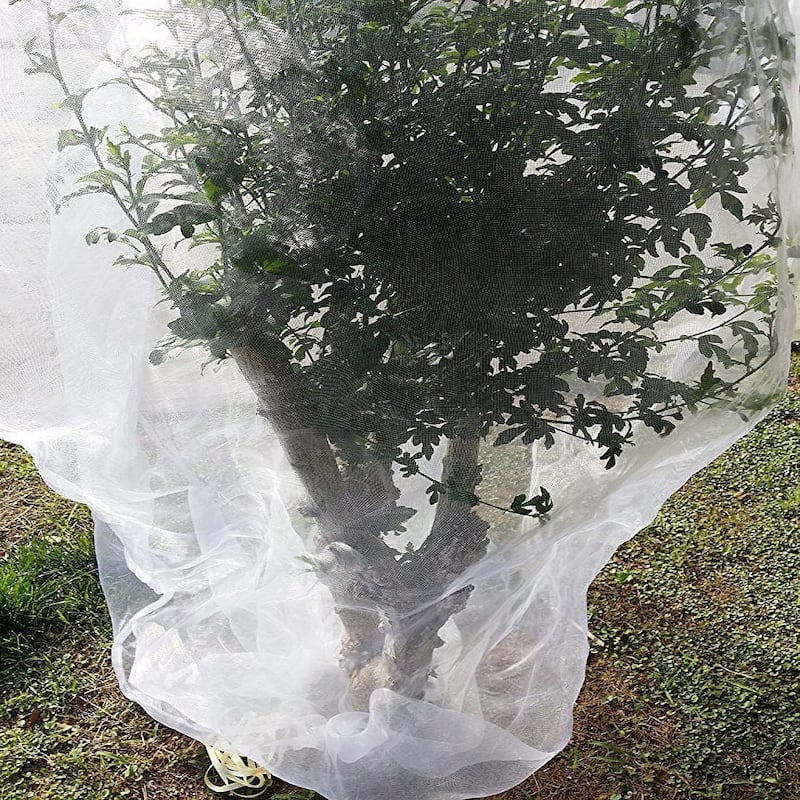 Agfabric Plant Cover,26"-W x 30"-H In-shape Bag with Rope,Insect Barrier, Insect Netting