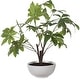 preview thumbnail 2 of 3, Uttermost 60225 Pachira Money 34-1/2" Tall Ceramic Faux Flora Planter