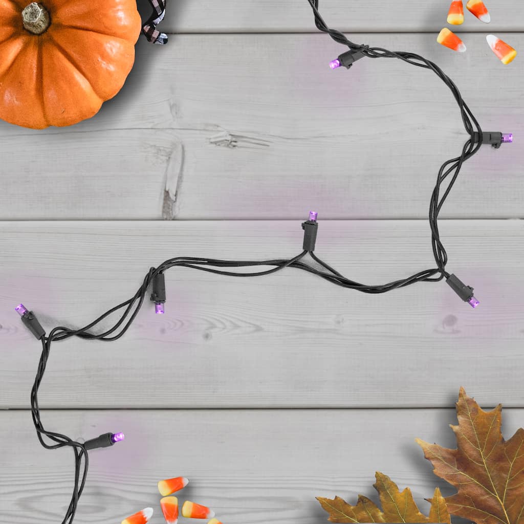 Wide Angle LED Christmas Lights - Purple - 16' Black Wire - 50ct