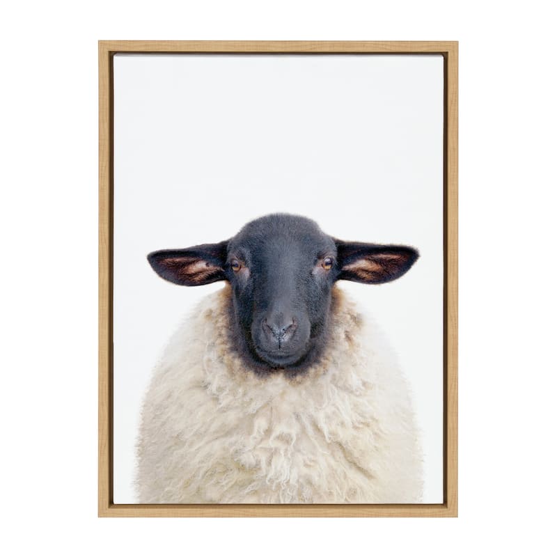 Kate and Laurel Sylvie Dorper Sheep Framed Canvas by Amy Peterson Art Studio