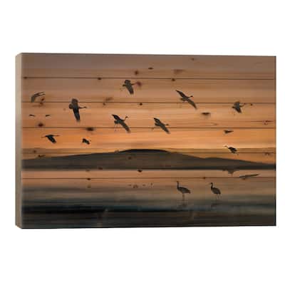 Fly-in At Sunset Print On Wood by Shenshen Dou - Multi-Color