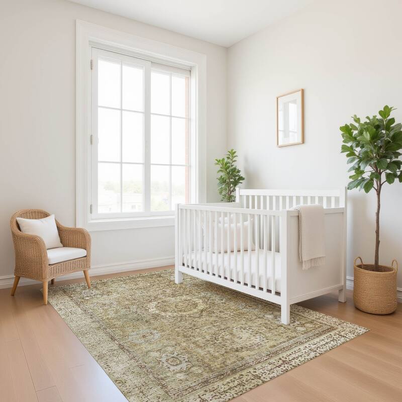 Premium Washable Super Soft Vintage Traditional Mayfield Rug
