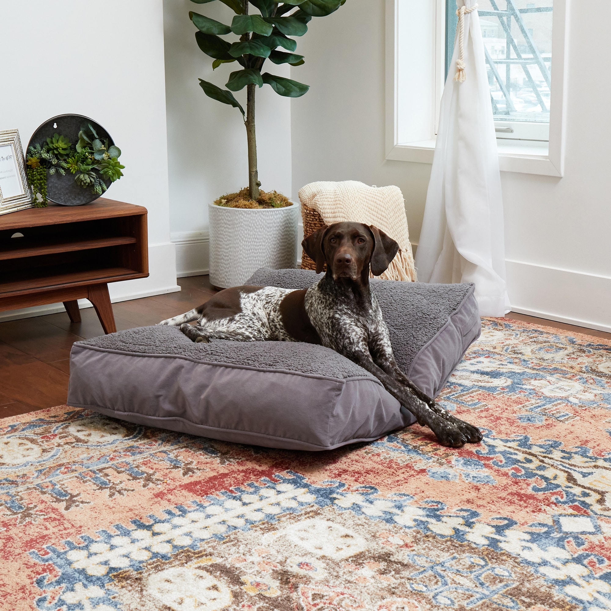 Buster memory foam dog bed sales