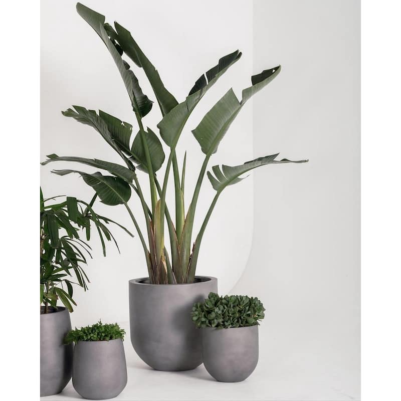 DreamPatio Santa Rosa Fiberstone Planter for Indoor/Outdoor