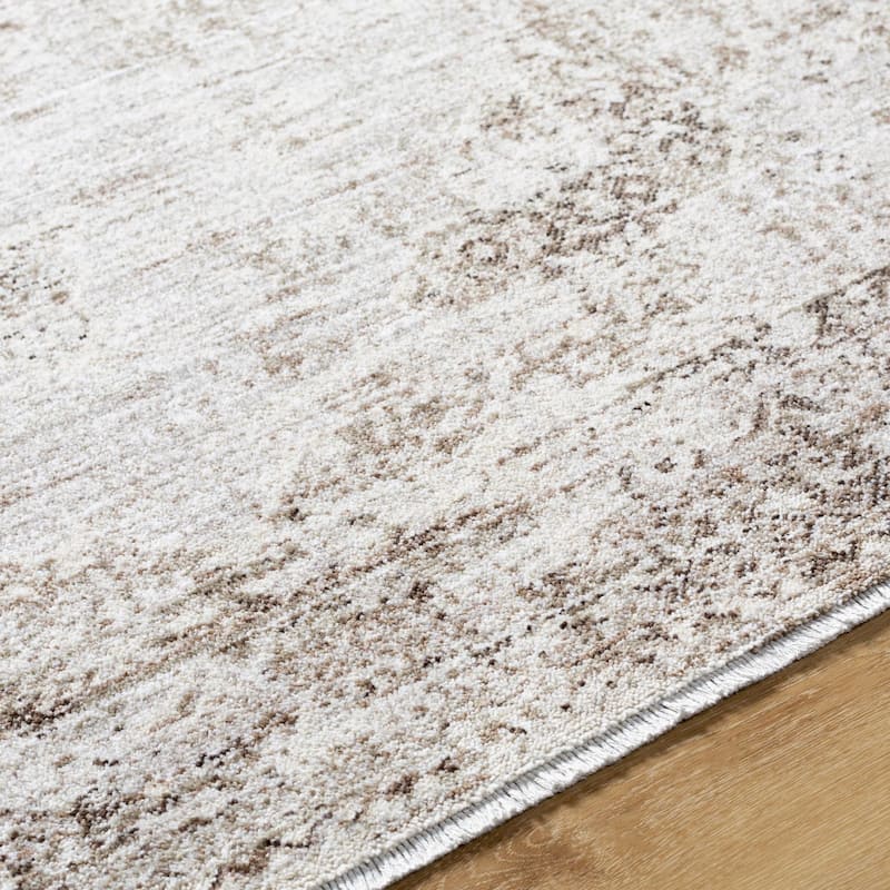 Noyes Traditional Medallion Area Rug