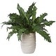 preview thumbnail 1 of 3, Uttermost 60229 Verdure Fern 16-1/4" Tall Ceramic Faux Flora Planter - Tan Tan
