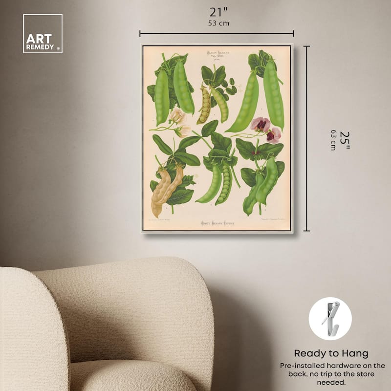 Podded Peas from Benary 1876 Canvas by Art Remedy