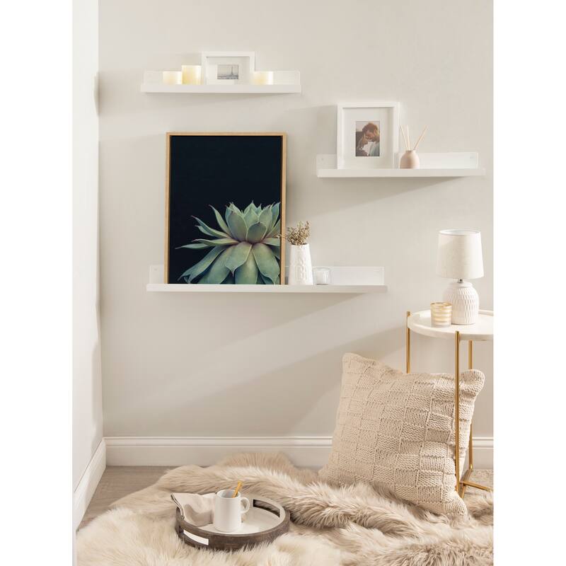Sylvie Succulent 18x24 Gold Framed Canvas Wall Art by F2 Images