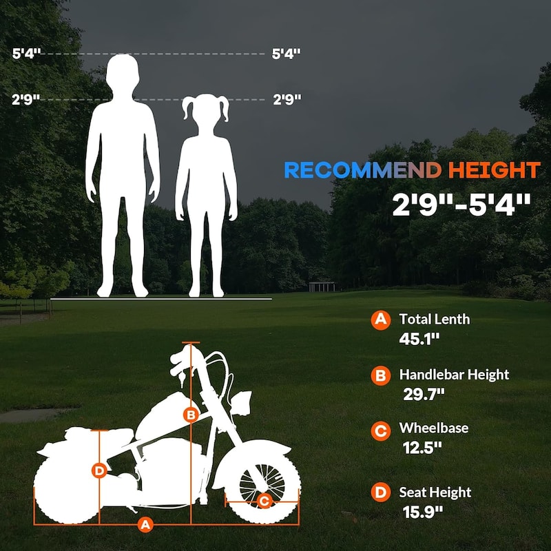 Electric Motorcycle for Kids, 24V 250W Kids Electric Dirt Bike