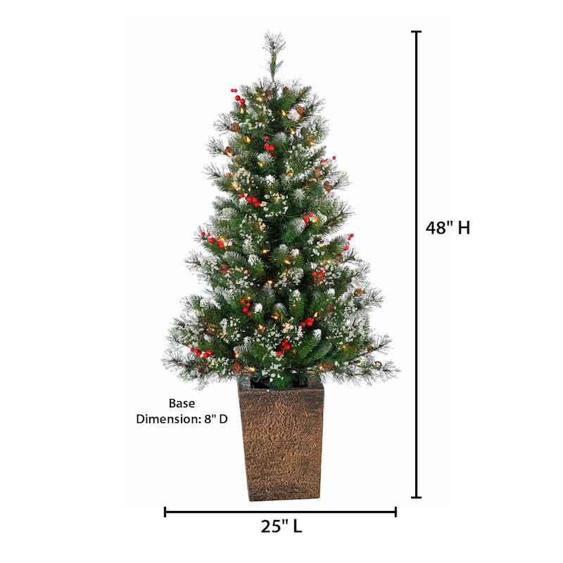Elegant 4 Foot Potted Mixed Needle Glacier Pine