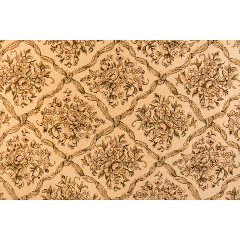 Dynamic Rugs Legacy Traditional Area Rug
