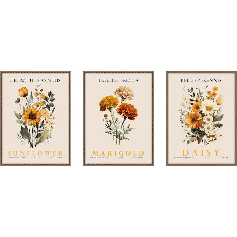 Amanti Art Vintage Sunflower Marigold and Daisy 3 Piece by Christopher Giampietro Framed Canvas Wall Art