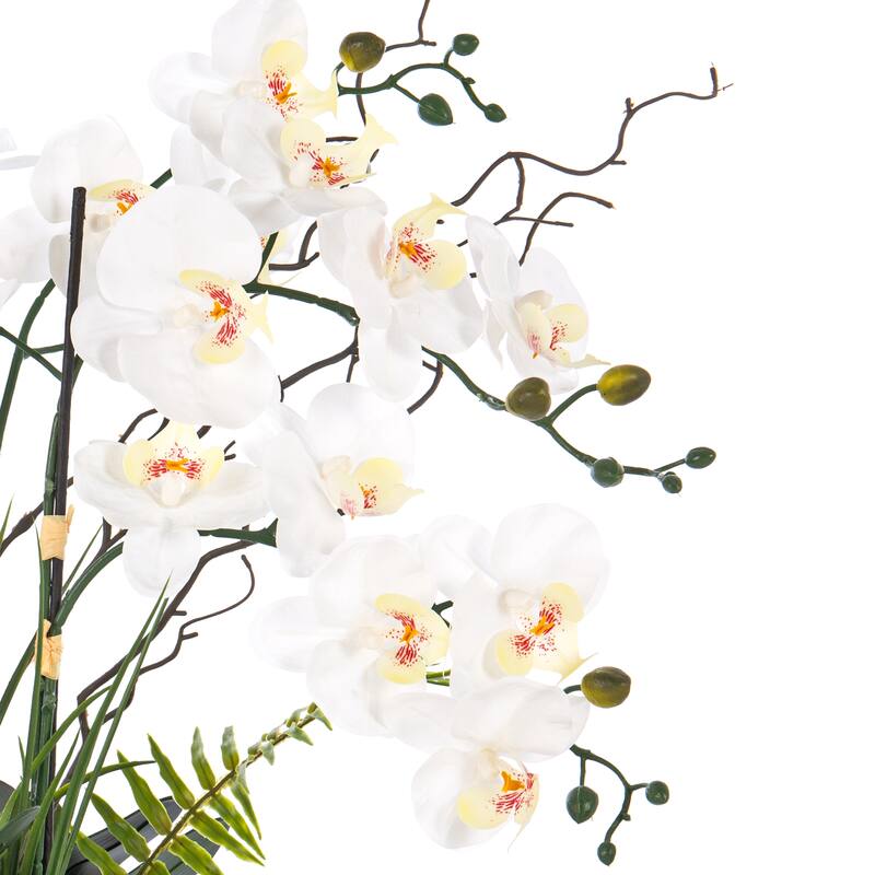 7 Stems Real Touch Phalaenopsis Plastic Orchids with Green Leaf in White Ceramic Pot - 32.28" H x 26.77" W x 26.77" D