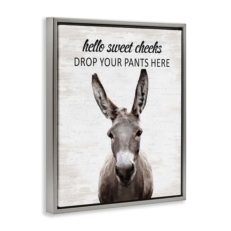 Stupell Drop Pants Here Funny Laundry Framed Floater Canvas Wall Art Design By Lettered and Lined
