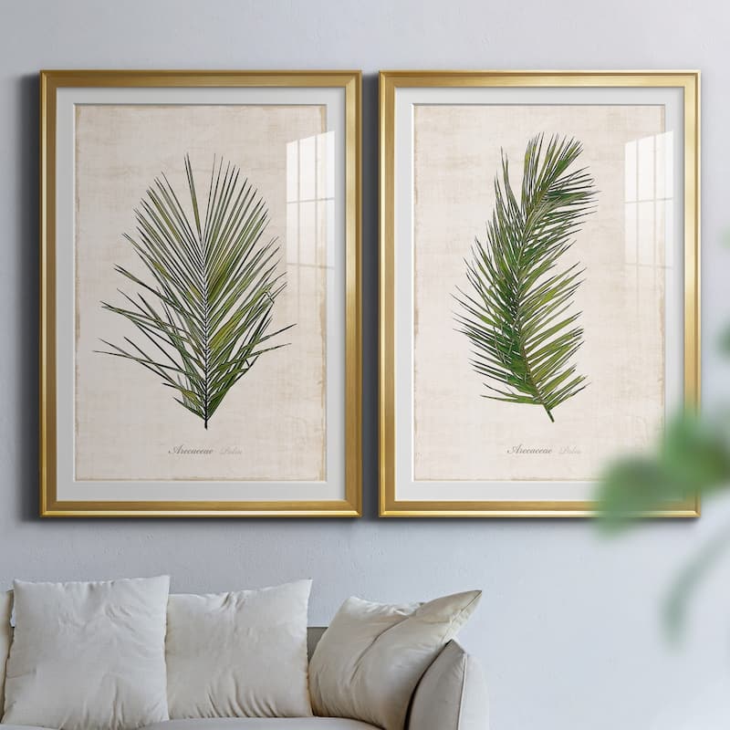 Palm Botanical I Premium Framed Print - Ready to Hang