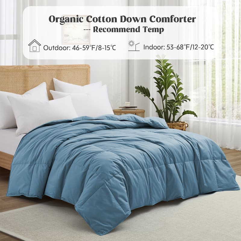 All Season 300TC Organic Cotton Down Comforter - 100% Natural, Chemical-Free, Medium Warmth Duvet Insert