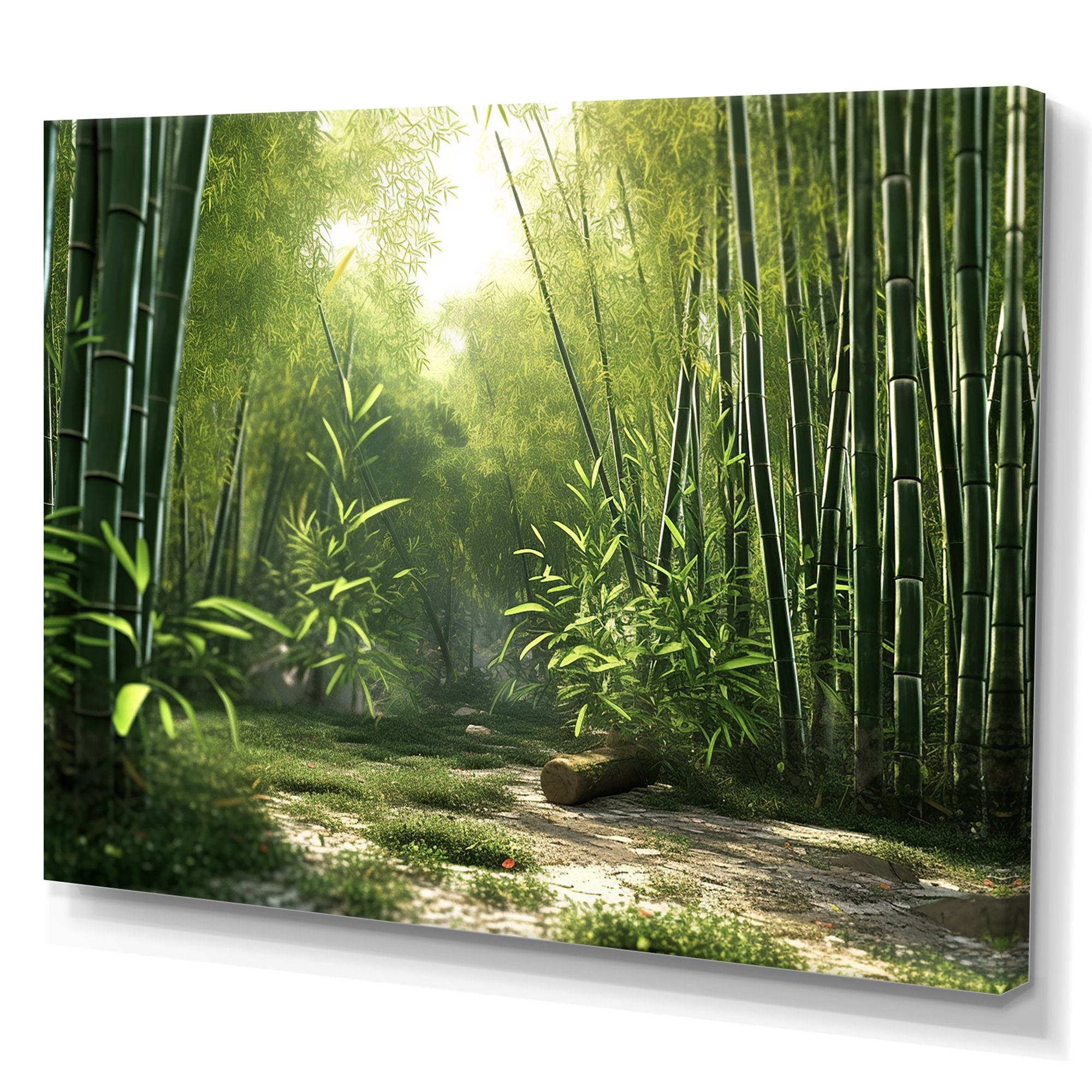 Amazon.com: Starry niight sky Prints print, framed canvas