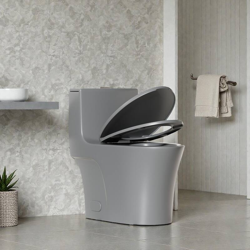 One Piece Elongated Toilet Tornado Flush. ADA Height 17 Inch. Dual Flush 1.1 1.6 GPF. MAP 1000g