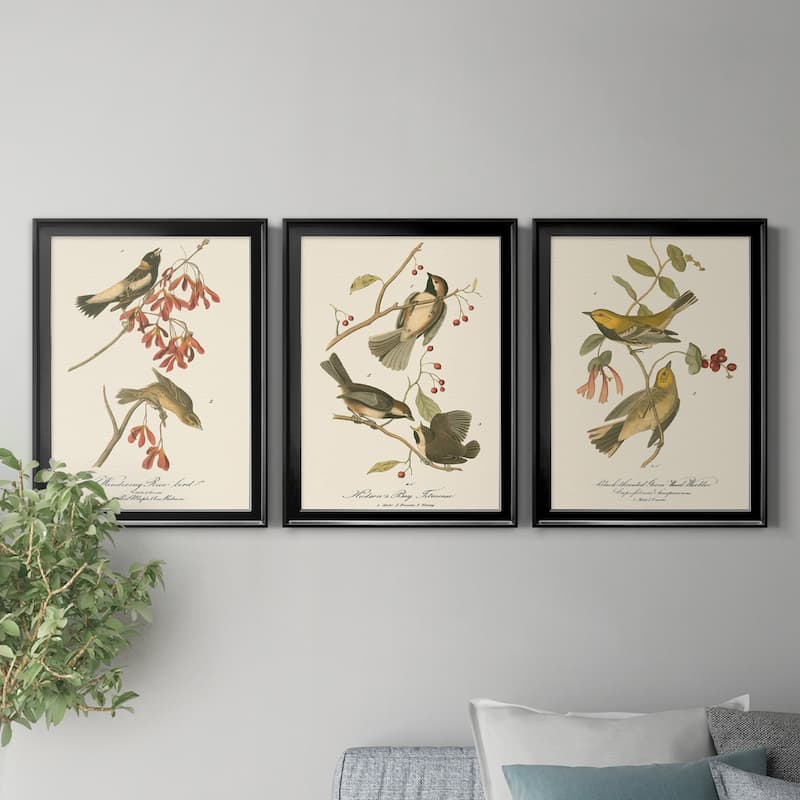 Wandering Rice Bird Premium Framed Canvas - Ready to Hang - Multi-Color