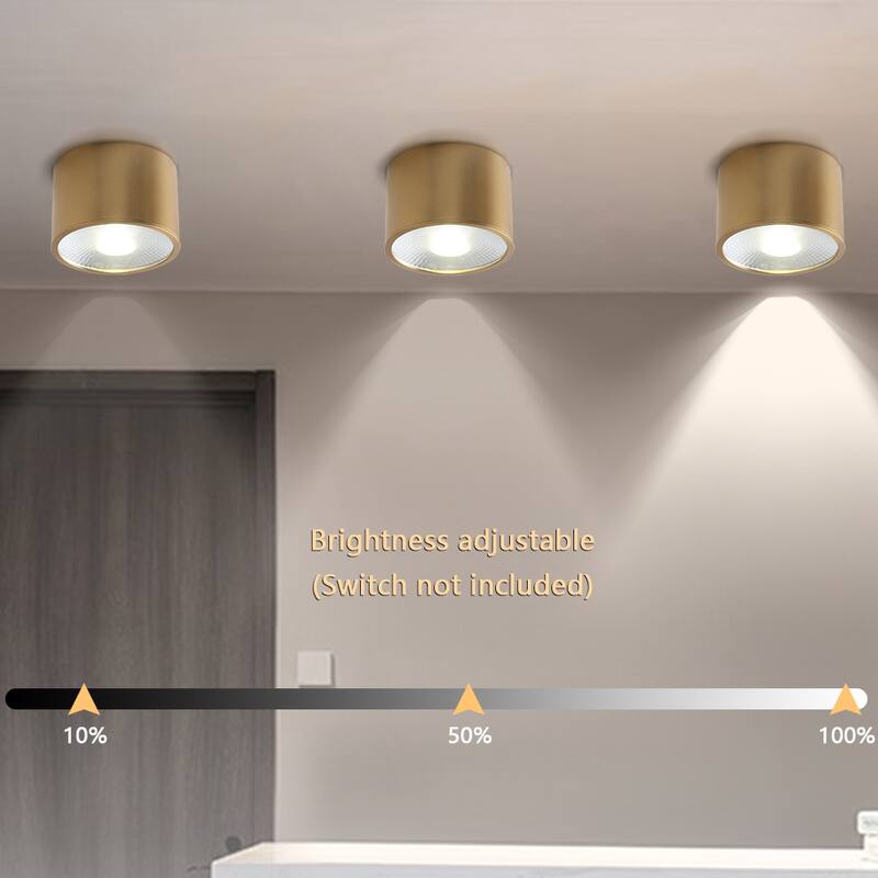 LED Flush Mount Ceiling Light Modern Light Fixtures Ceiling