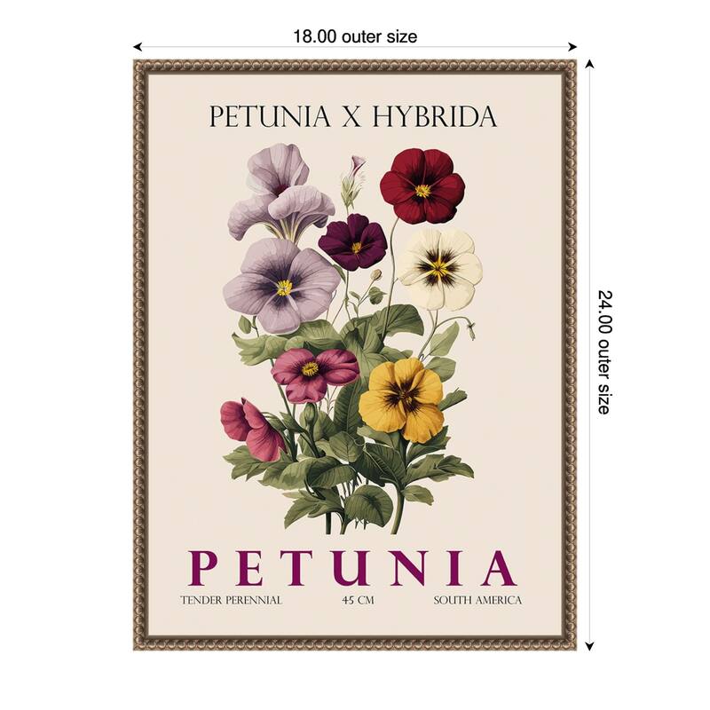 Vintage Botanical Petunia Illustration by Christopher Giampietro Framed Canvas Wall Art Print - Gold - 18 x 24 in