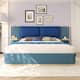Option Blue