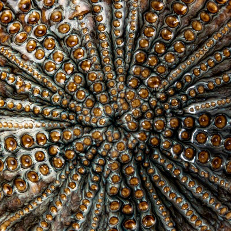 Stoneware Dish with Embossed Dots in Two Styles