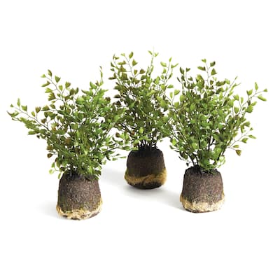 Maidenhair Drop-Ins, Set Of 3 - Green