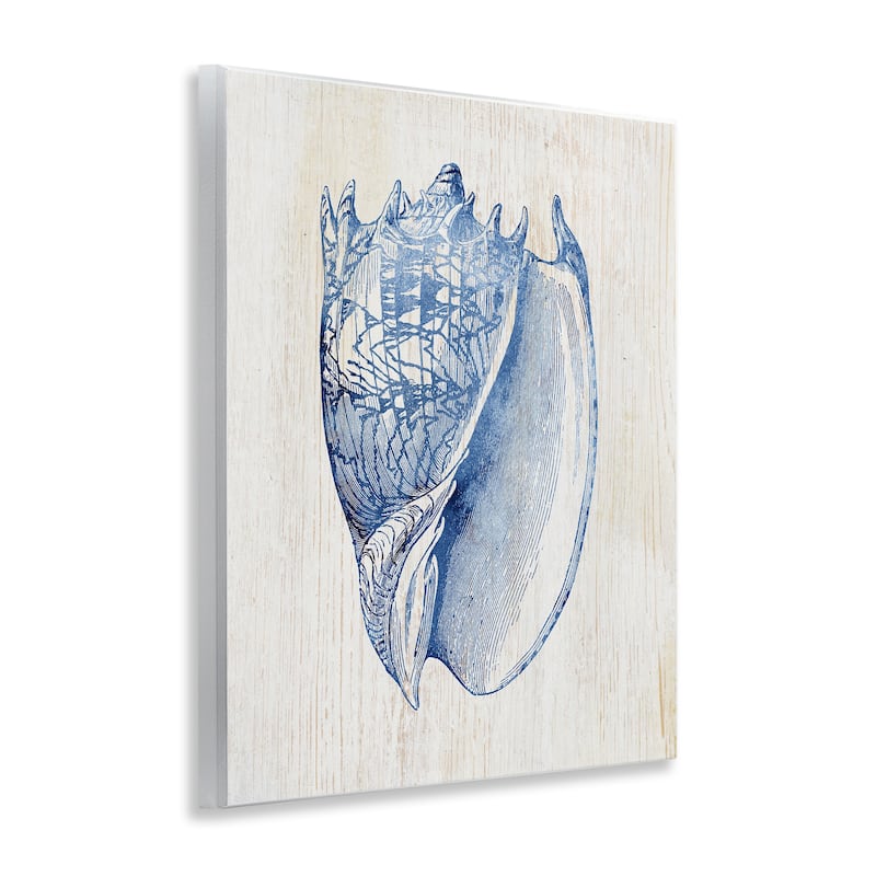 Stupell Nautical Soft Blue Conch Wall Plaque Art Design By Susan Arnot